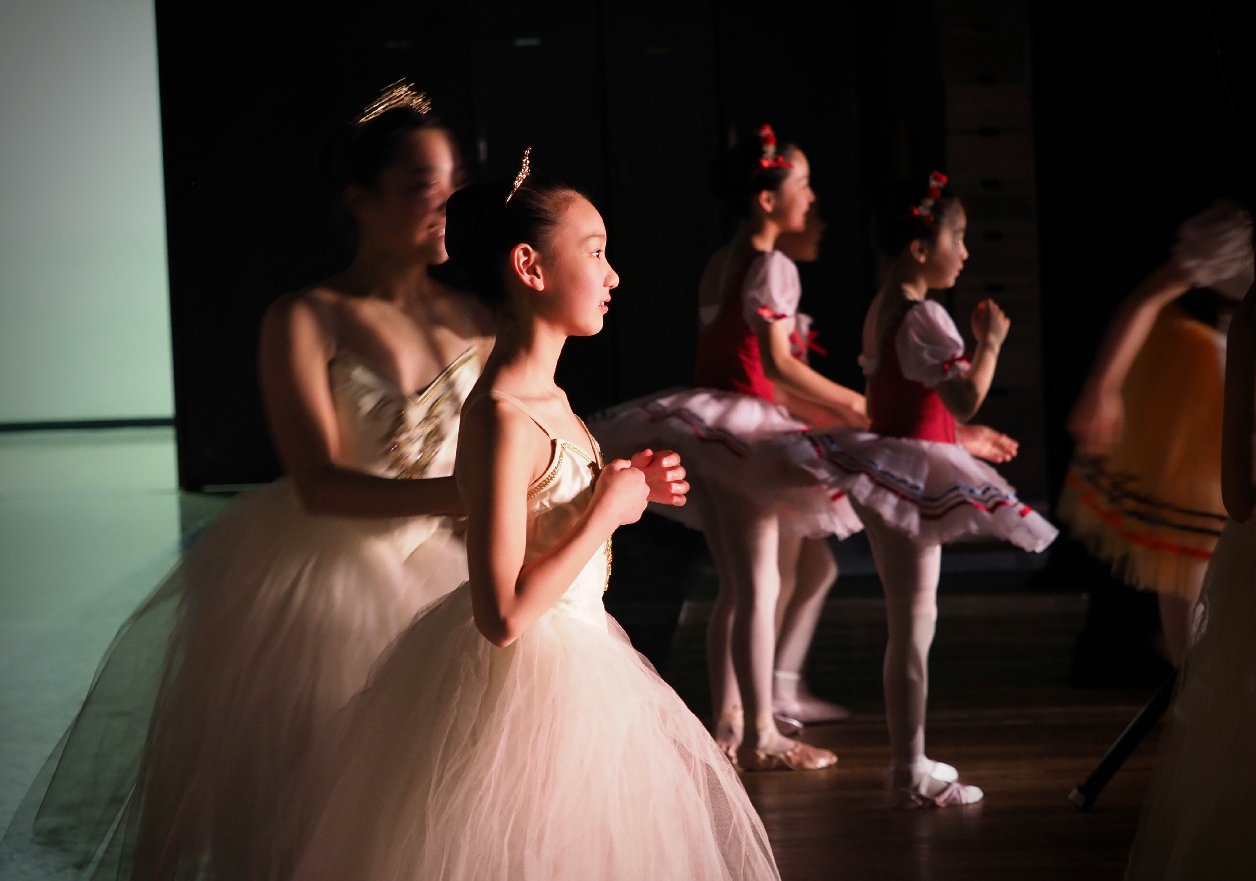 Ballet dancers close-up