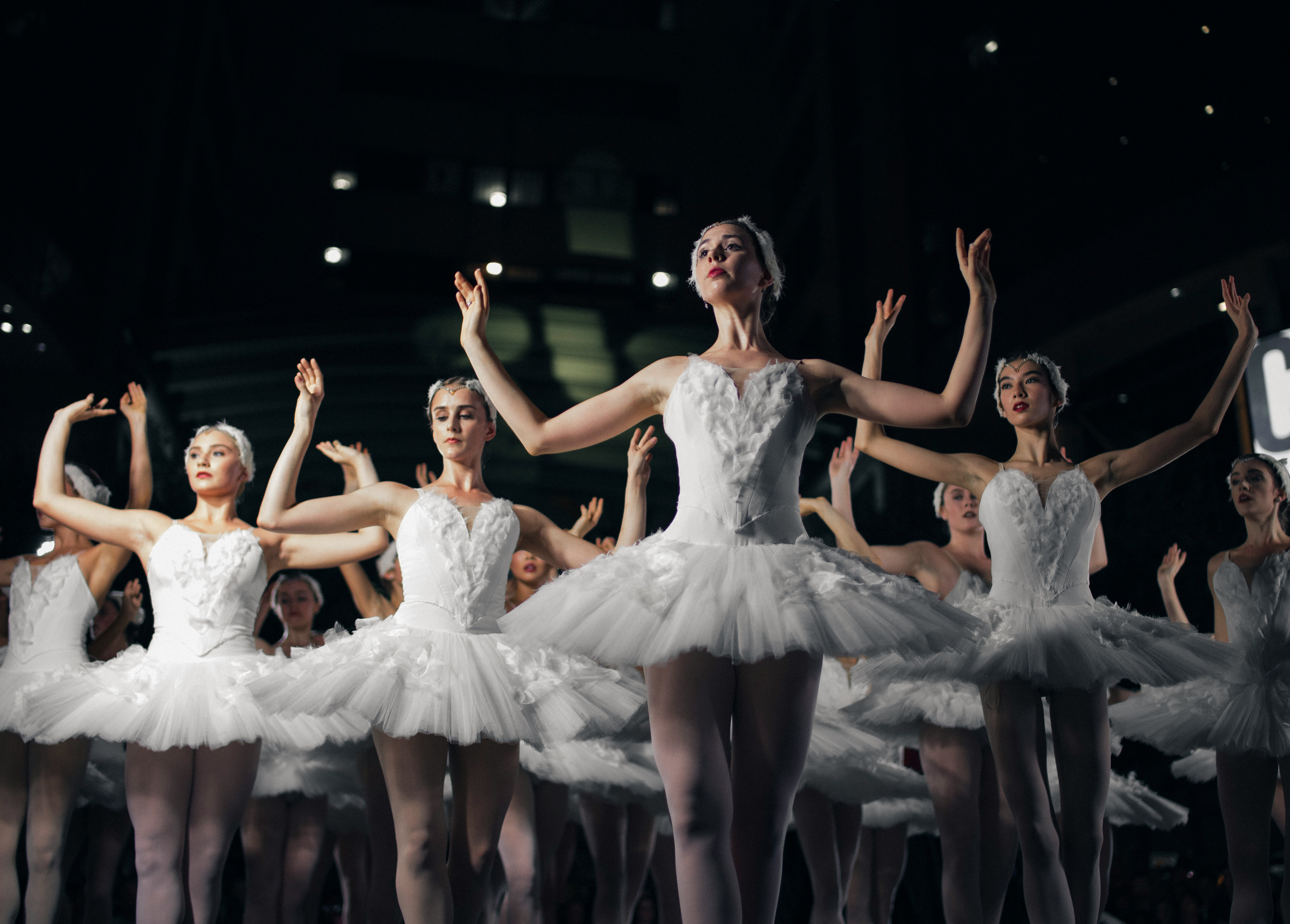 Low angle close up of ballet dancers